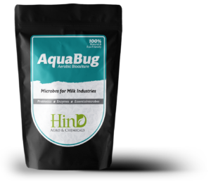 Aquabug – Food & Dairy Industry Etp Bio-Culture